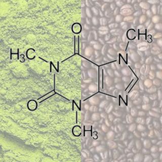Ahoj, milovníci čaje a kávy 💚. Zajímá vás, kolik kofeinu se skrývá ve vašem oblíbeném nápoji? Připravili jsme pro vás...